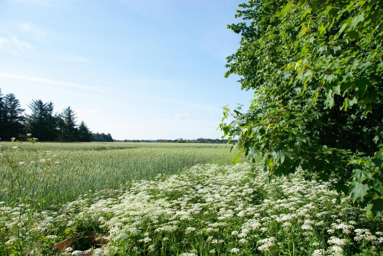 Fuglsang Bed & Breakfast Йёрринг Экстерьер фото