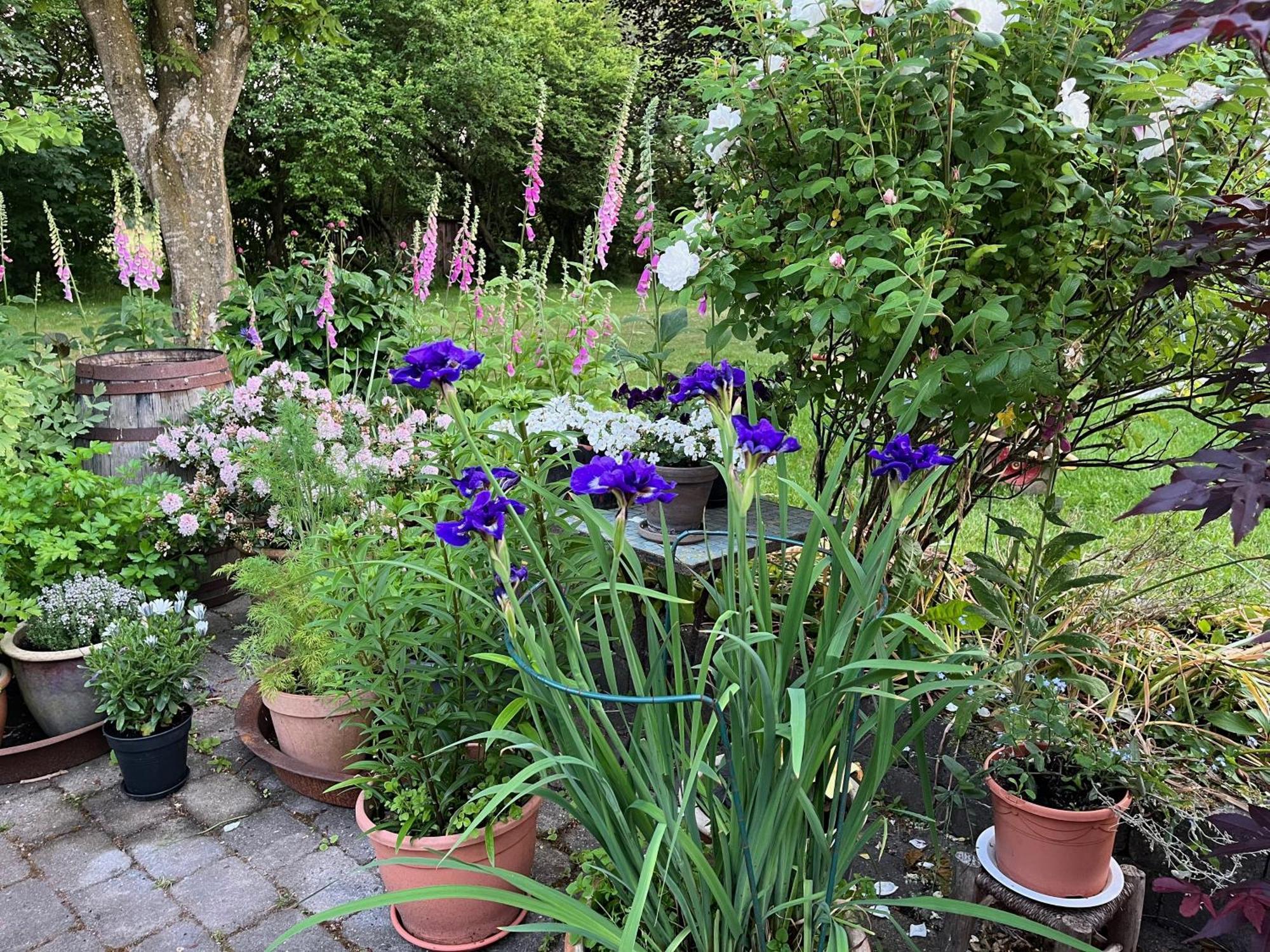 Fuglsang Bed & Breakfast Йёрринг Экстерьер фото